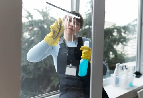Nettoyage de vitres intérieures et extérieures à Sacey